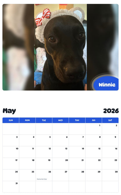 2026 - 2027 Winnie - Pawidols Pet Calendar