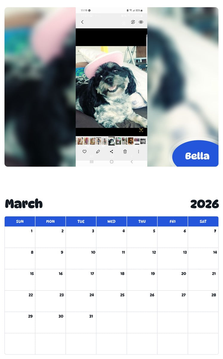 November 2025 - October 2026 Bella - Pawidols Pet Calendar