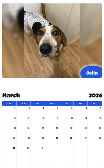 November 2025 - October 2026 Bella - Pawidols Pet Calendar