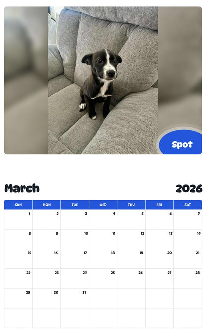 November 2025 - October 2026 Spot - Pawidols Pet Calendar