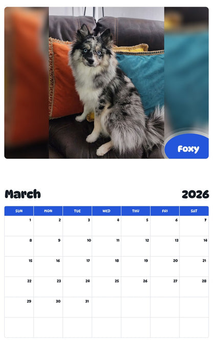 November 2025 - October 2026 Foxy - Pawidols Pet Calendar