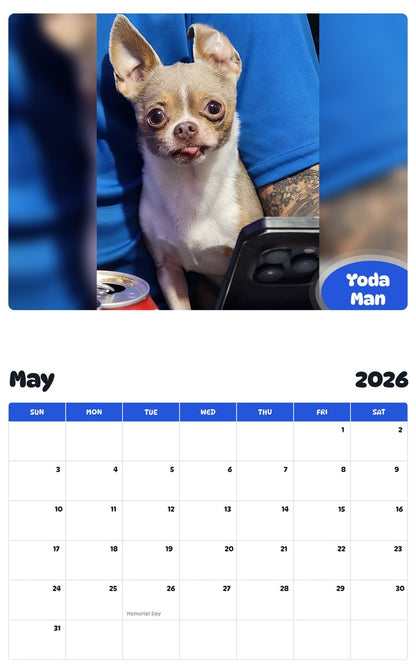 2026 - 2027 Yoda Man - Pawidols Pet Calendar