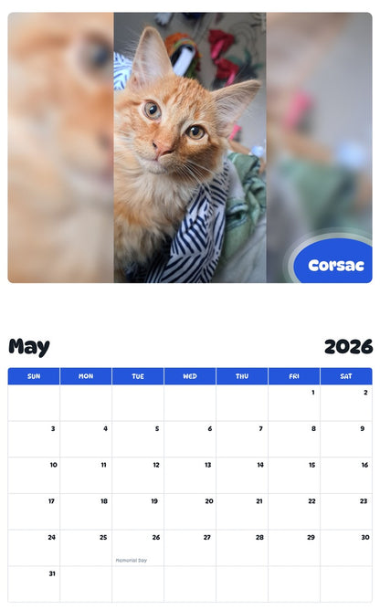 2026 - 2027 Corsac - Pawidols Pet Calendar