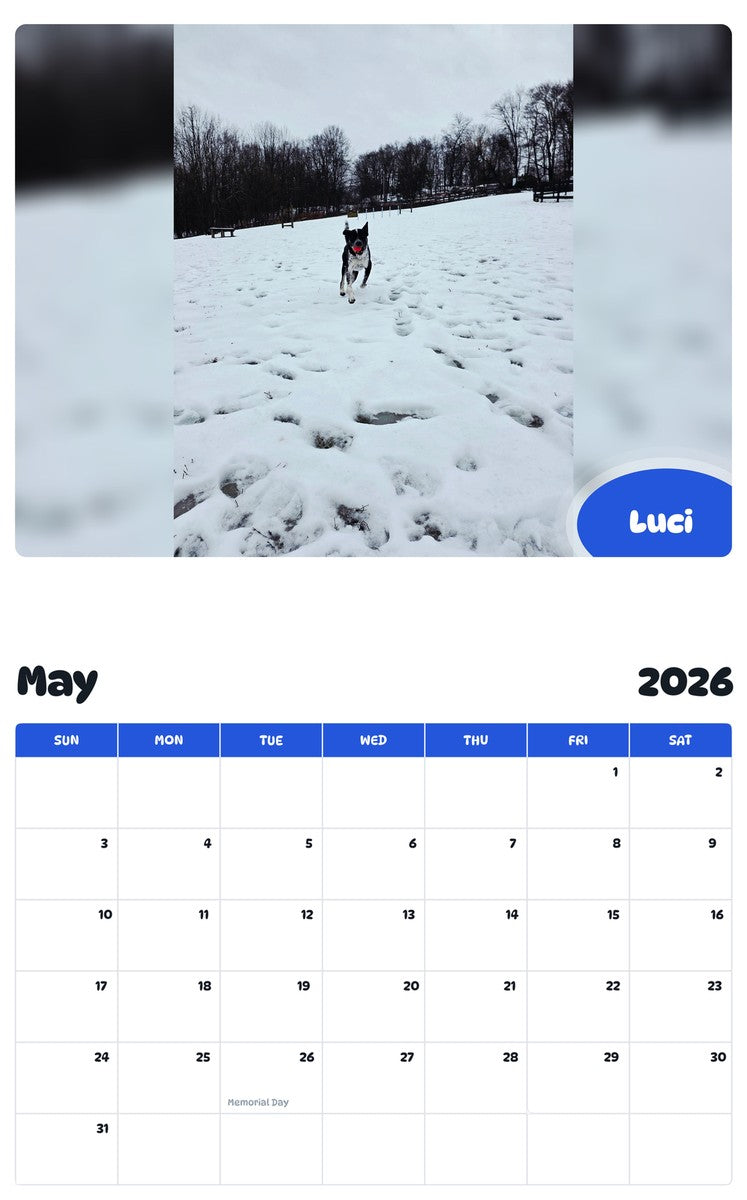 2026 - 2027 Luci - Pawidols Pet Calendar