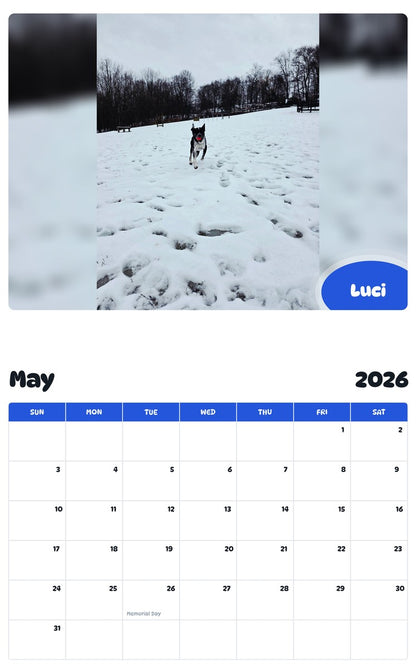 2026 - 2027 Luci - Pawidols Pet Calendar