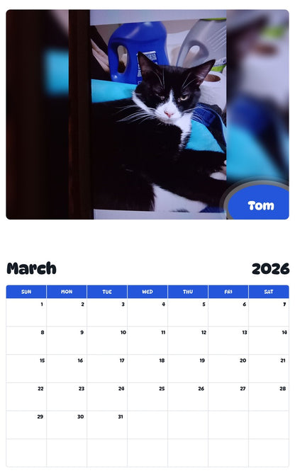 November 2025 - October 2026 Tom - Pawidols Pet Calendar