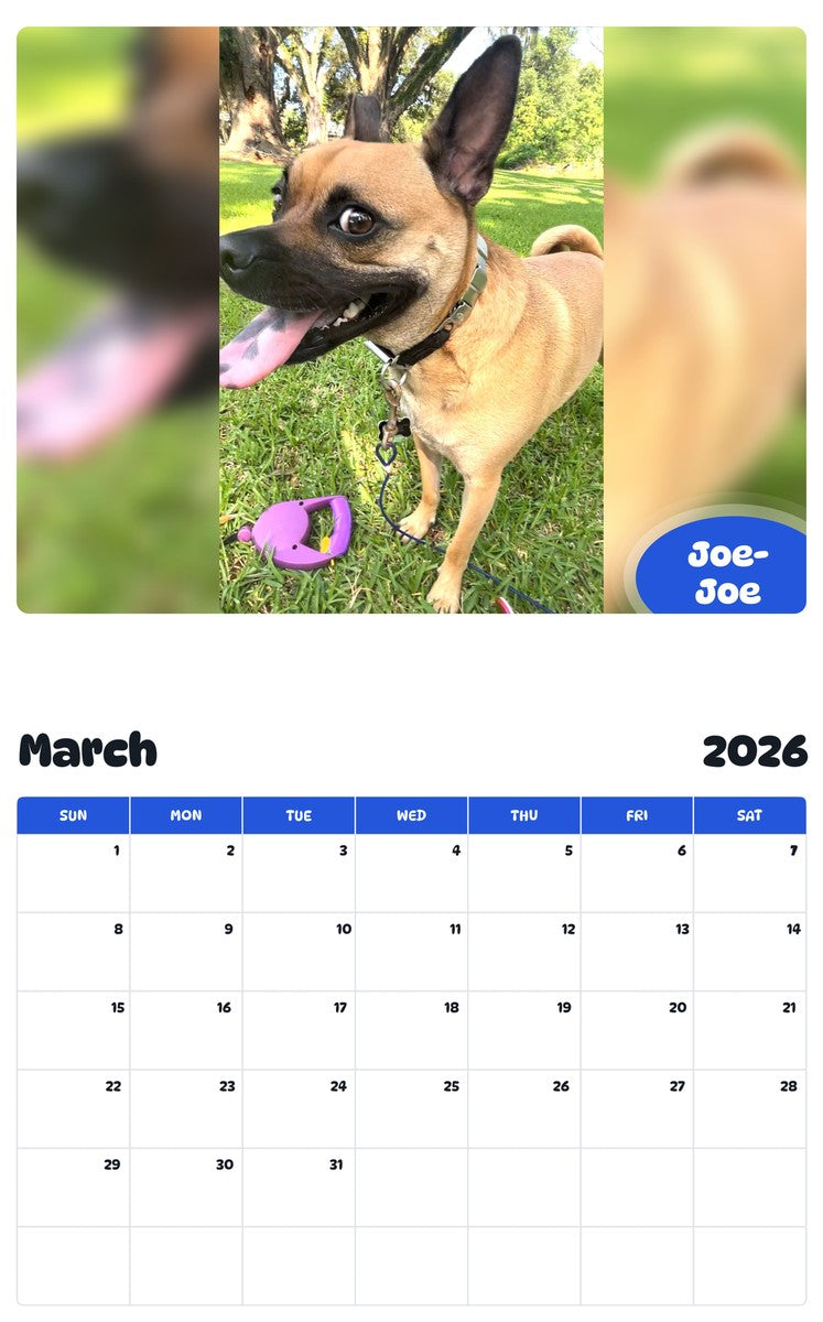 November 2025 - October 2026 Joe-Joe - Pawidols Pet Calendar