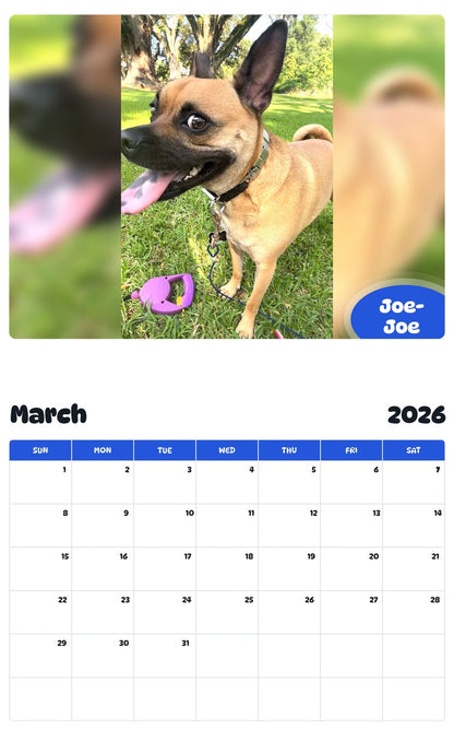 November 2025 - October 2026 Joe-Joe - Pawidols Pet Calendar