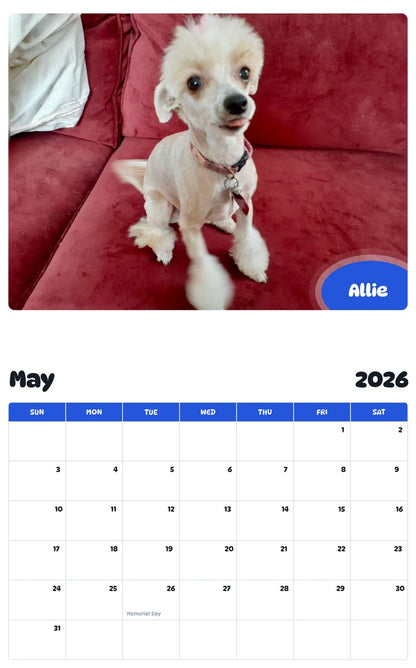 2026 - 2027 Allie - Pawidols Pet Calendar