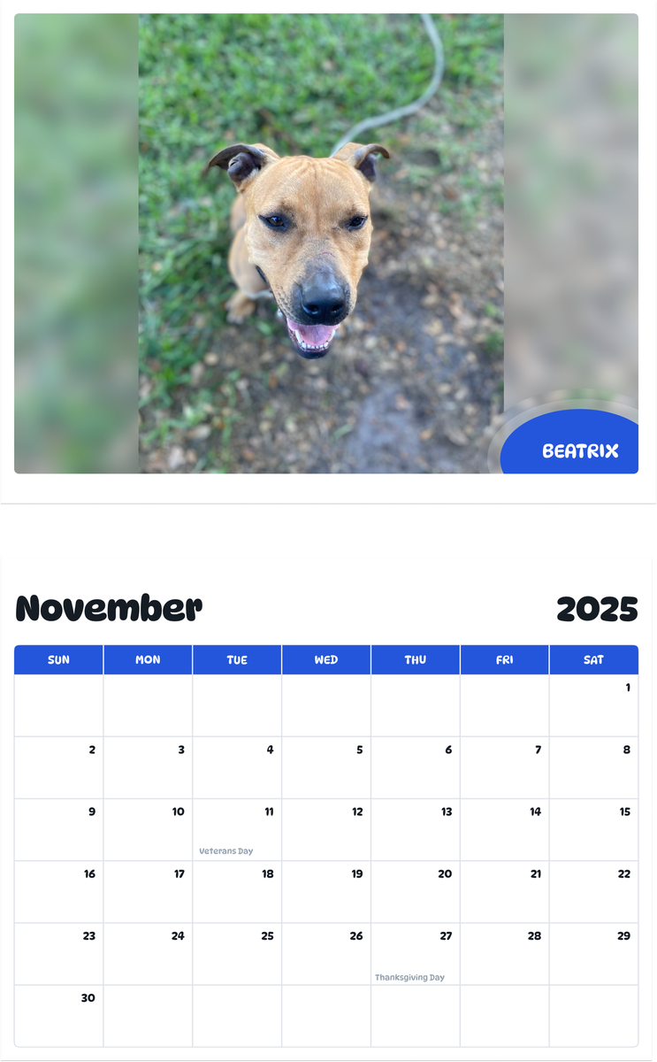 July 2025 - June 2026 Beatrix - Pawidols Pet Calendar