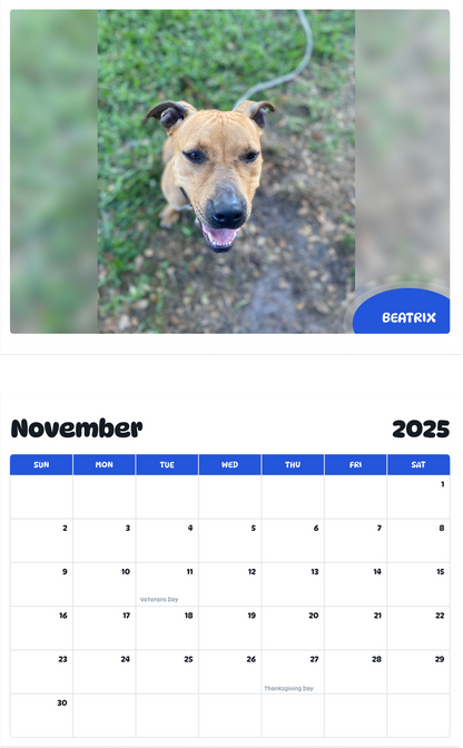 July 2025 - June 2026 Beatrix - Pawidols Pet Calendar