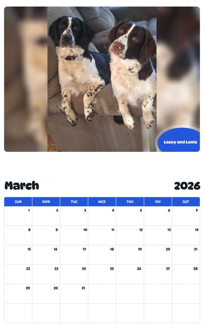 November 2025 - October 2026 Lacey and Lexie - Pawidols Pet Calendar