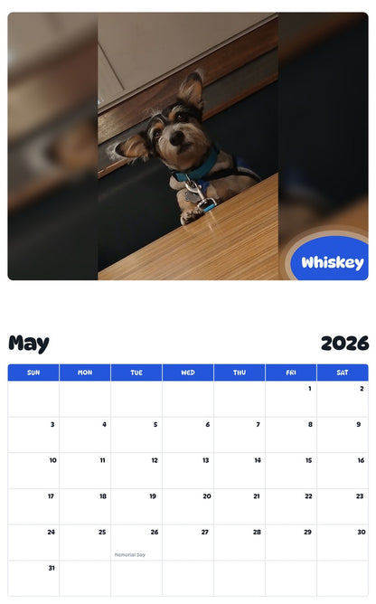 2026 - 2027 Whiskey - Pawidols Pet Calendar