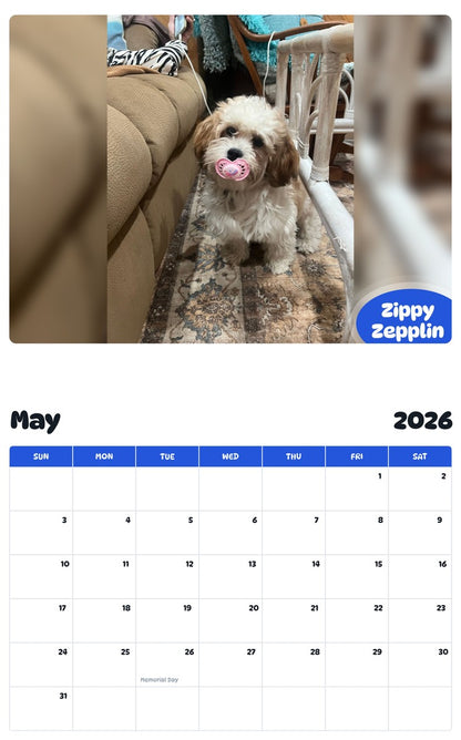 2026 - 2027 Zippy Zepplin - Pawidols Pet Calendar