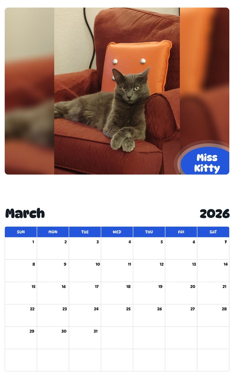 November 2025 - October 2026 Miss Kitty - Pawidols Pet Calendar
