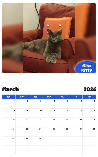 November 2025 - October 2026 Miss Kitty - Pawidols Pet Calendar
