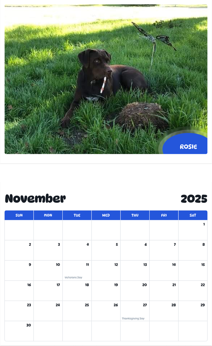 July 2025 - June 2026 Rosie - Pawidols Pet Calendar