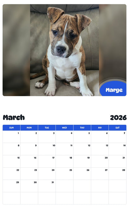 November 2025 - October 2026 Marge - Pawidols Pet Calendar