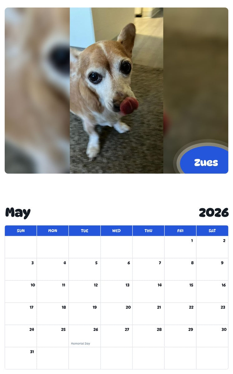 2026 - 2027 Zues - Pawidols Pet Calendar