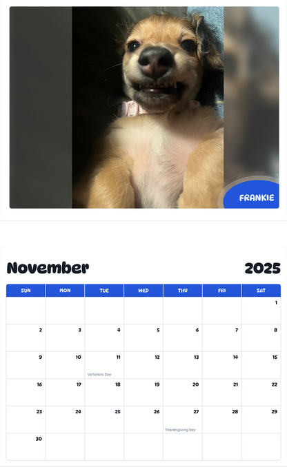 July 2025 - June 2026 Frankie - Pawidols Pet Calendar