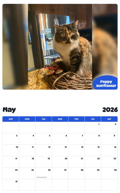 2026 - 2027 Poppy sunflower - Pawidols Pet Calendar