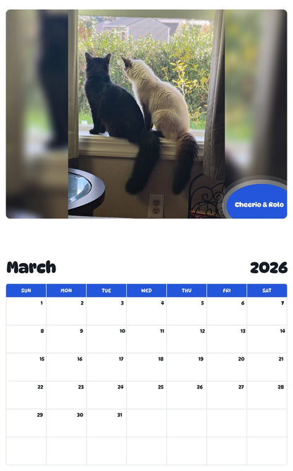 November 2025 - October 2026 Cheerio & Rolo - Pawidols Pet Calendar