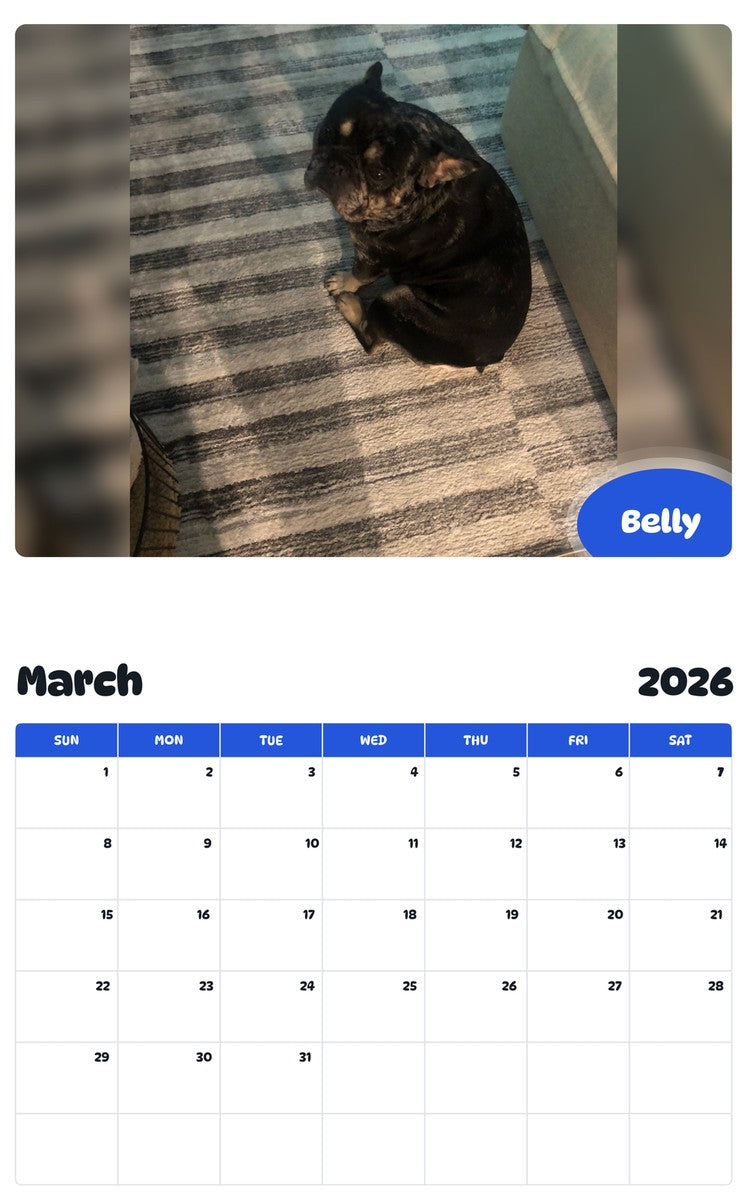 November 2025 - October 2026 Belly - Pawidols Pet Calendar