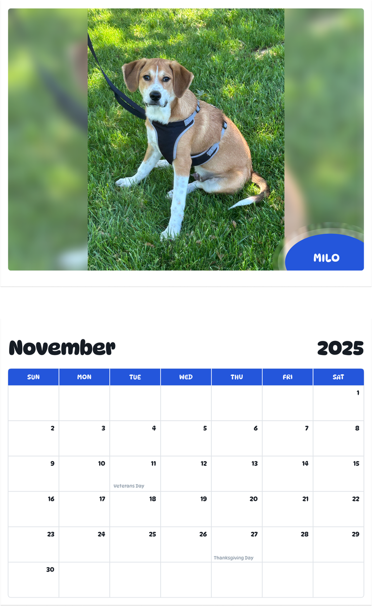 July 2025 - June 2026 Milo - Pawidols Pet Calendar