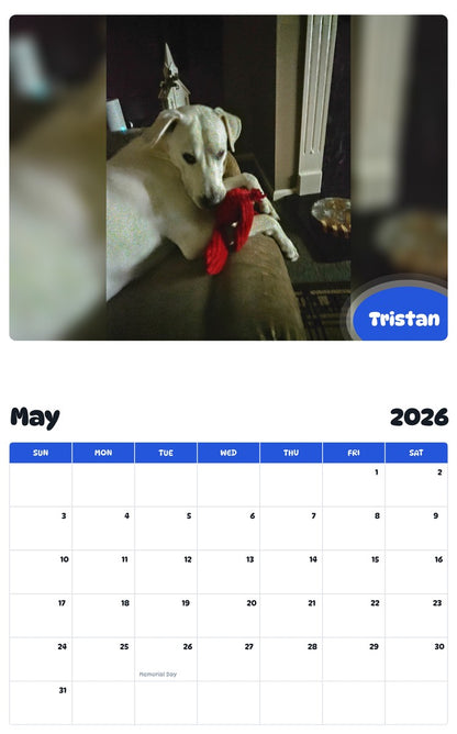 2026 - 2027 Tristan - Pawidols Pet Calendar