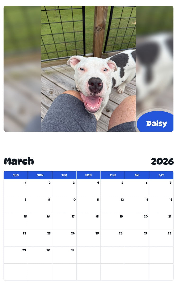 November 2025 - October 2026 Daisy - Pawidols Pet Calendar