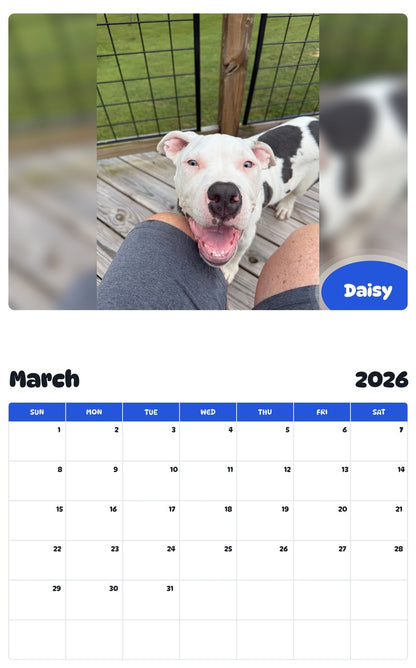 November 2025 - October 2026 Daisy - Pawidols Pet Calendar