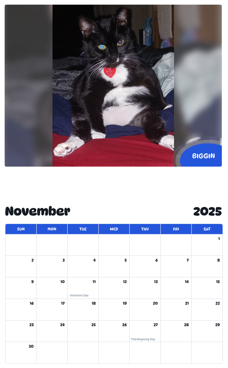 July 2025 - June 2026 BIGGIN - Pawidols Pet Calendar