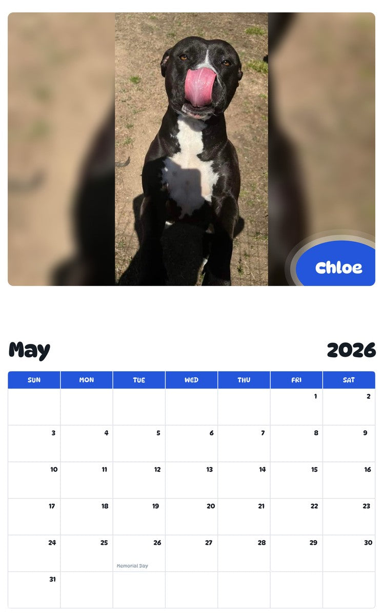 2026 - 2027 Chloe - Pawidols Pet Calendar