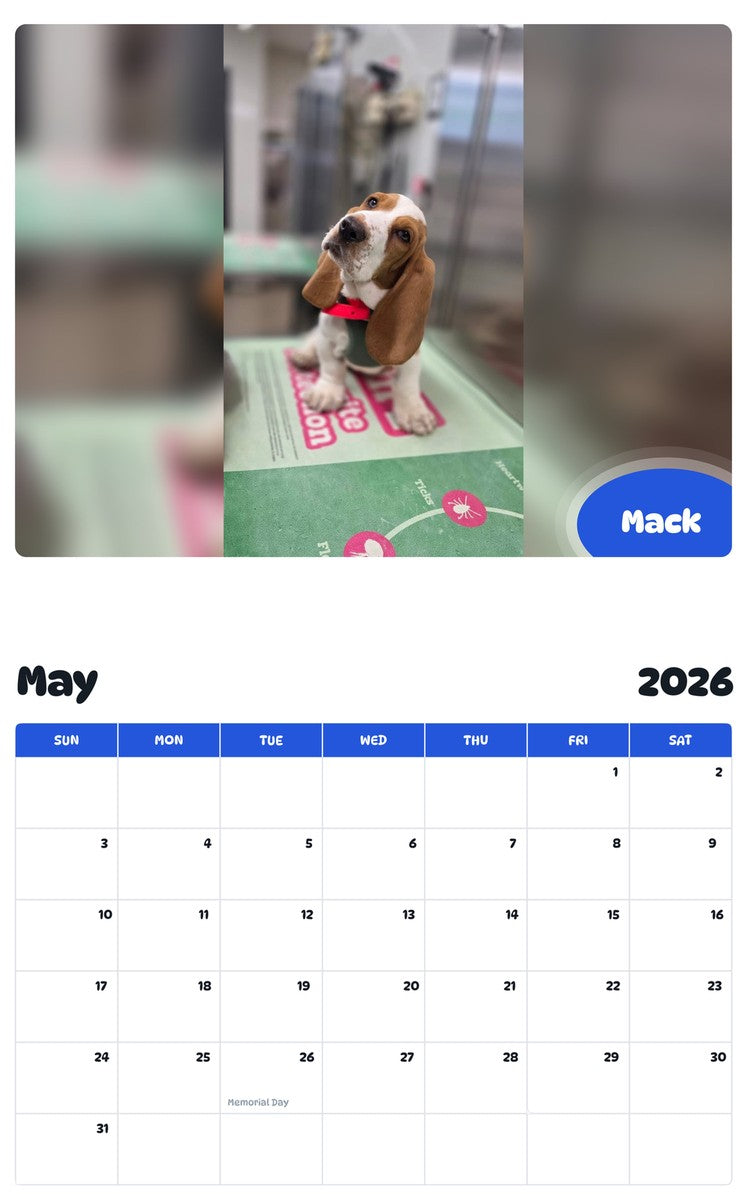 2026 - 2027 Mack - Pawidols Pet Calendar