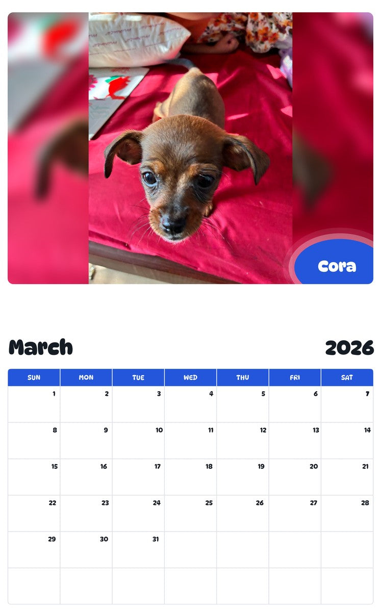 November 2025 - October 2026 Cora - Pawidols Pet Calendar