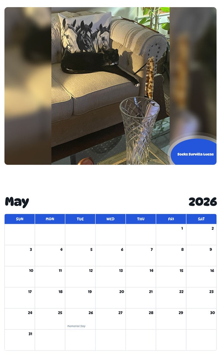 2026 - 2027 Socks Survilla Lucas - Pawidols Pet Calendar