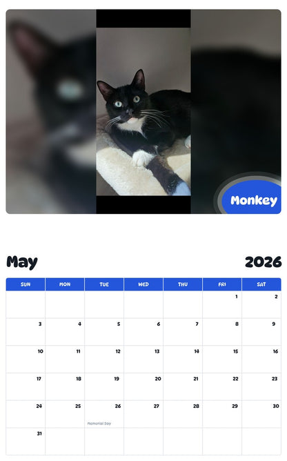 2026 - 2027 Monkey - Pawidols Pet Calendar