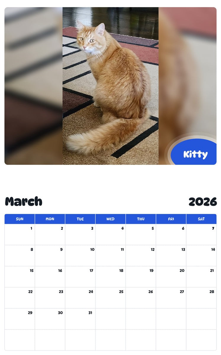 November 2025 - October 2026 Kitty - Pawidols Pet Calendar