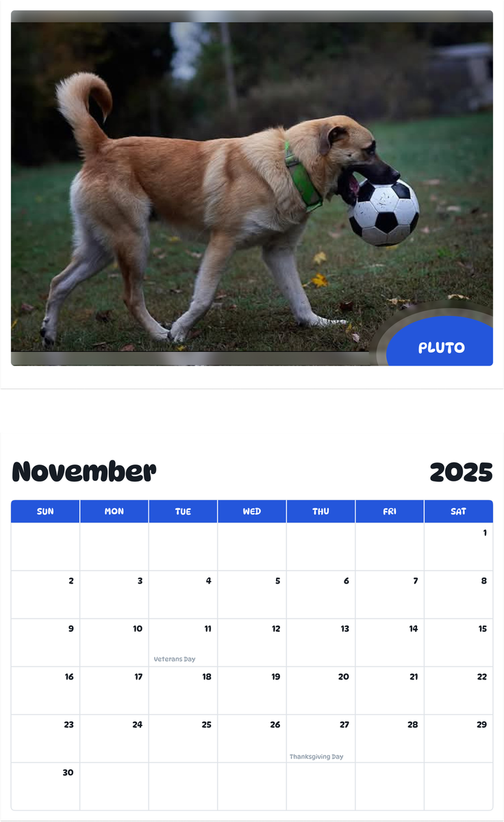 July 2025 - June 2026 Pluto - Pawidols Pet Calendar