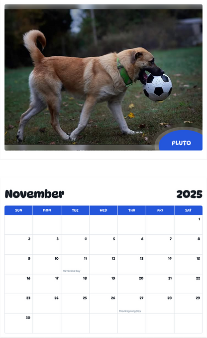 July 2025 - June 2026 Pluto - Pawidols Pet Calendar