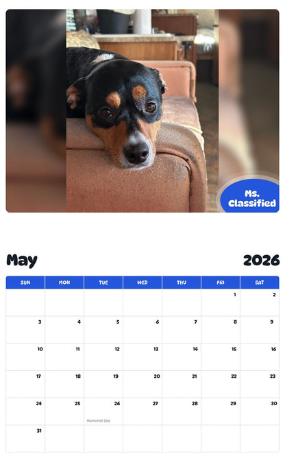 2026 - 2027 Ms. Classified - Pawidols Pet Calendar