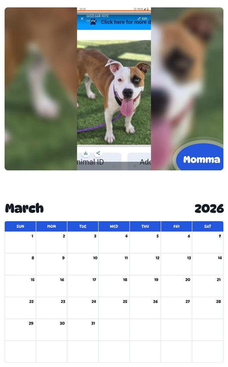 November 2025 - October 2026 Momma - Pawidols Pet Calendar