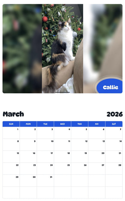November 2025 - October 2026 Callie - Pawidols Pet Calendar