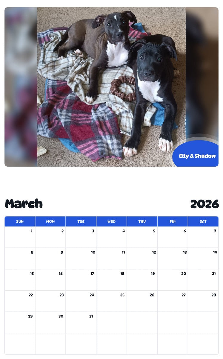 November 2025 - October 2026 Elly & Shadow - Pawidols Pet Calendar