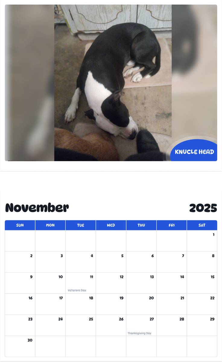 July 2025 - June 2026 Knucle head - Pawidols Pet Calendar