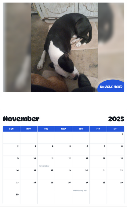 July 2025 - June 2026 Knucle head - Pawidols Pet Calendar
