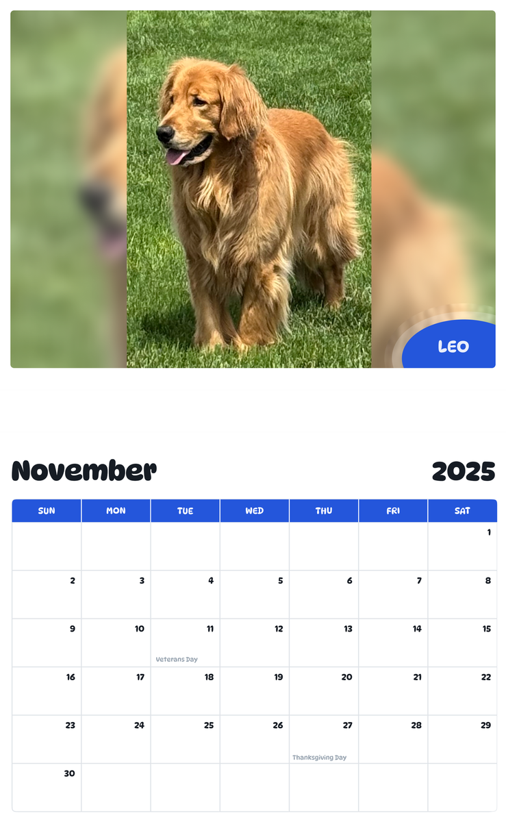 July 2025 - June 2026 Leo - Pawidols Pet Calendar