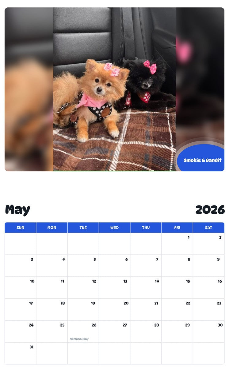 2026 - 2027 Smokie & Bandit - Pawidols Pet Calendar