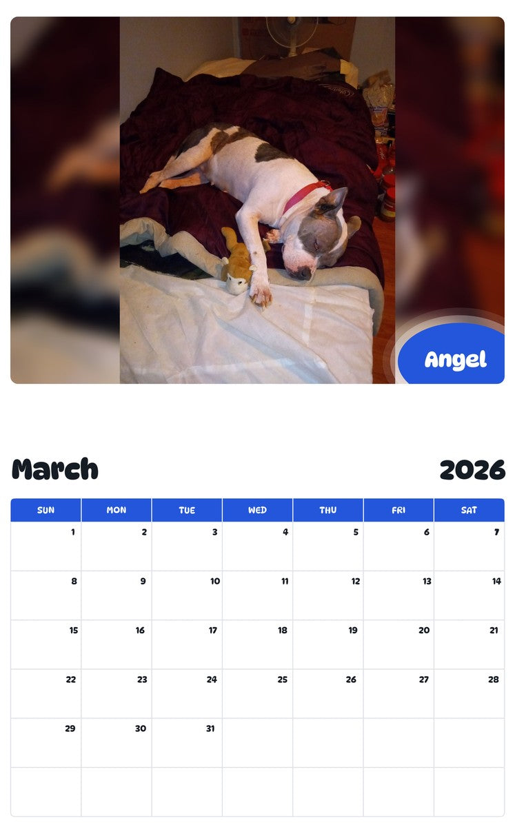 November 2025 - October 2026 Angel - Pawidols Pet Calendar