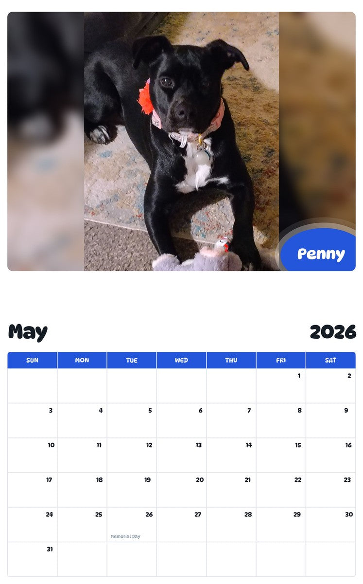 2026 - 2027 Penny - Pawidols Pet Calendar